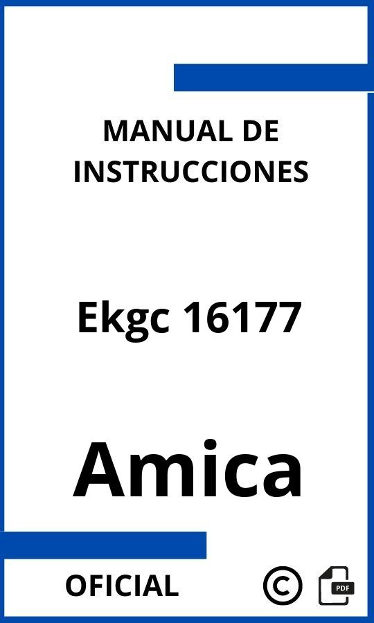 Amica Ekgc 16177 Manual