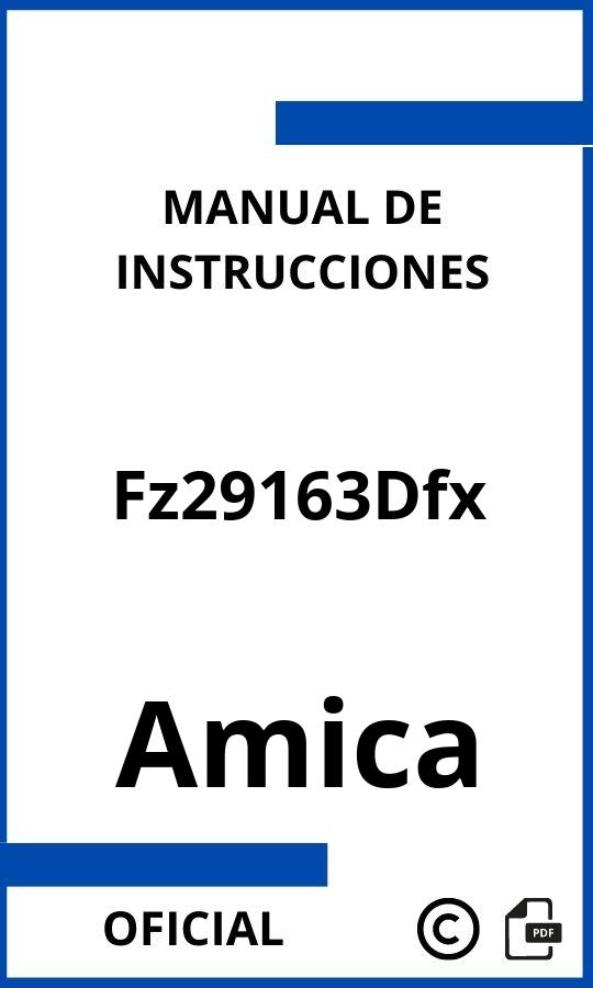Instrucciones de Amica Fz29163Dfx
