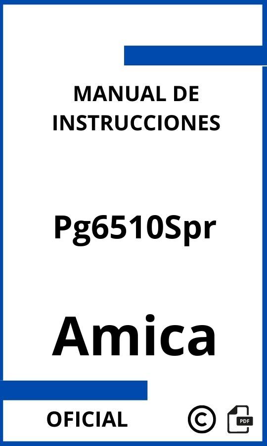 Manual de instrucciones Amica Pg6510Spr