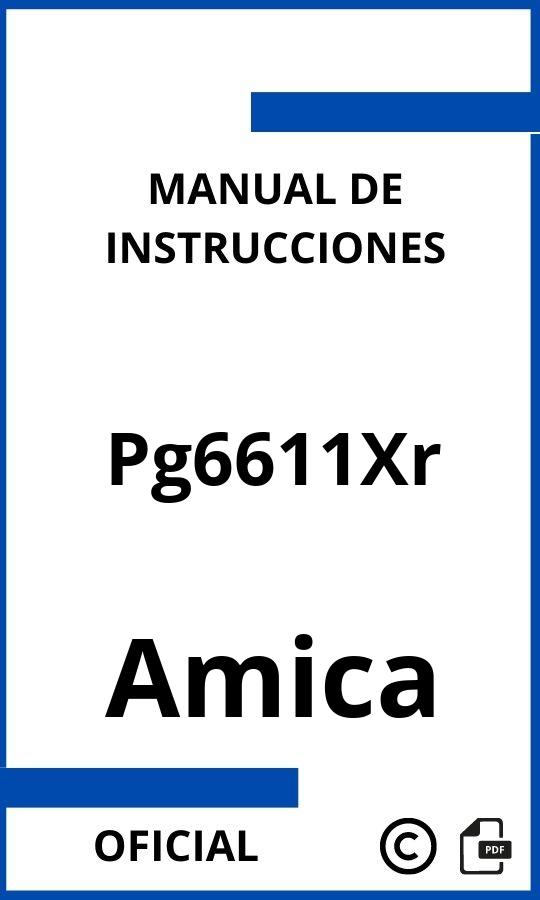 Manual de instrucciones Amica Pg6611Xr